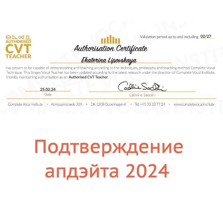 Diploma update 2024 CVI